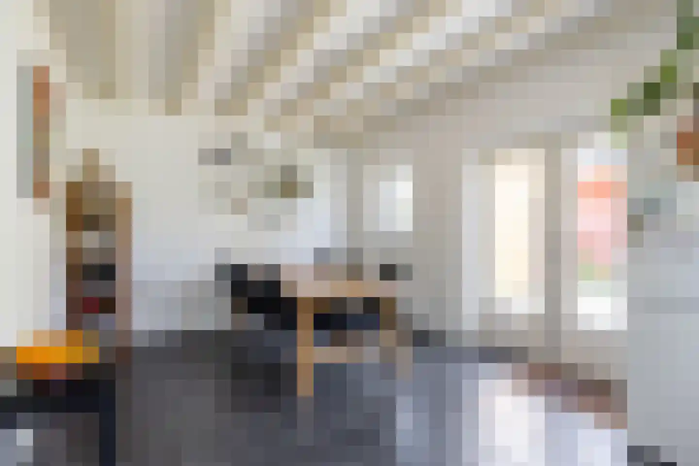 Wierhuisterweg 19 Pieterburen thumbnail 32