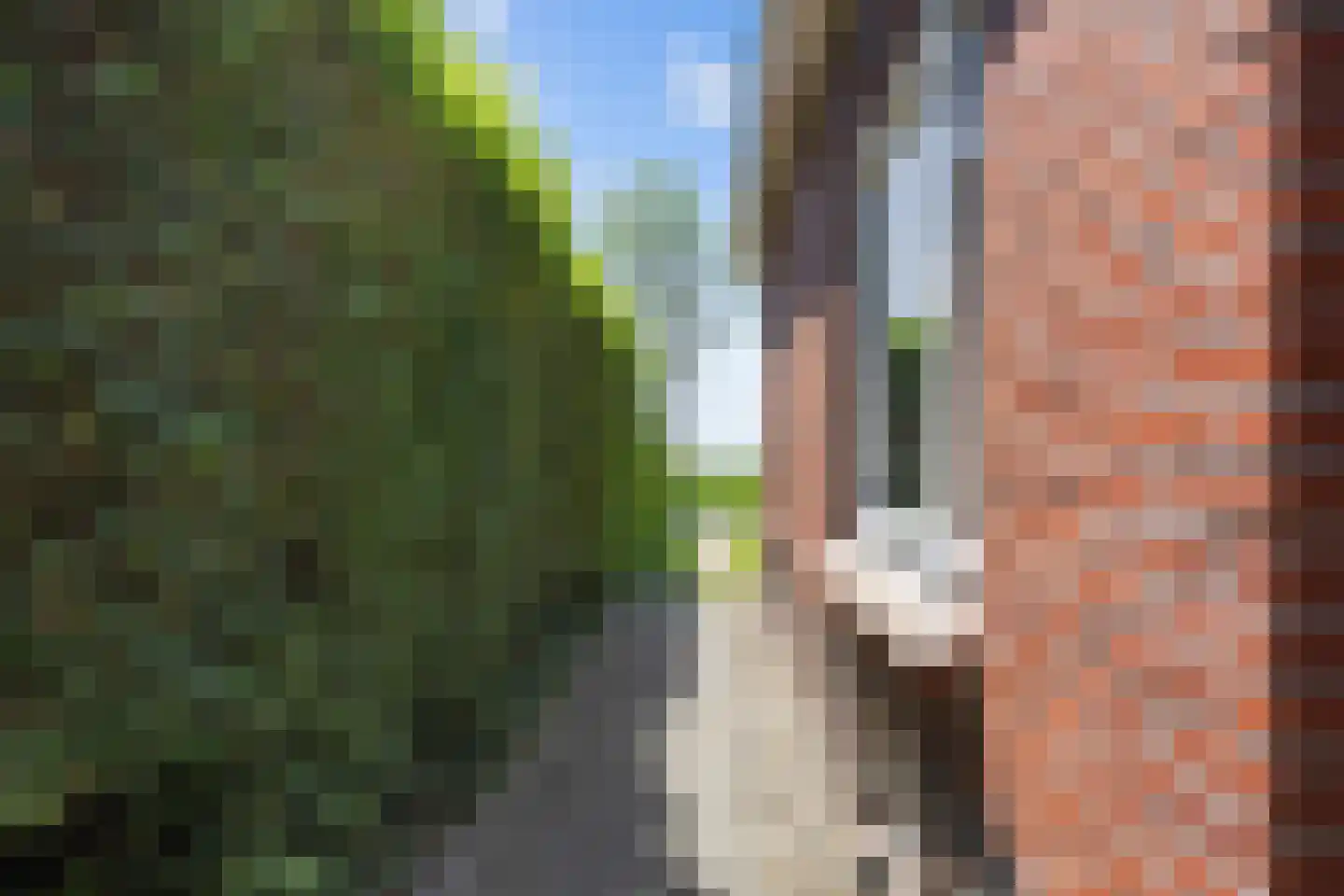 Wierhuisterweg 19 Pieterburen thumbnail 49
