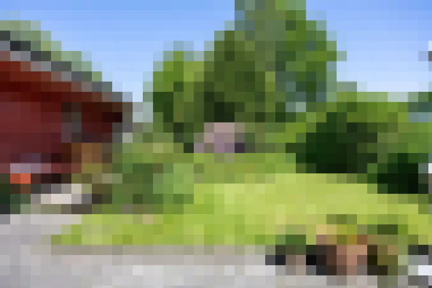 Wierhuisterweg 19 Pieterburen thumbnail 53