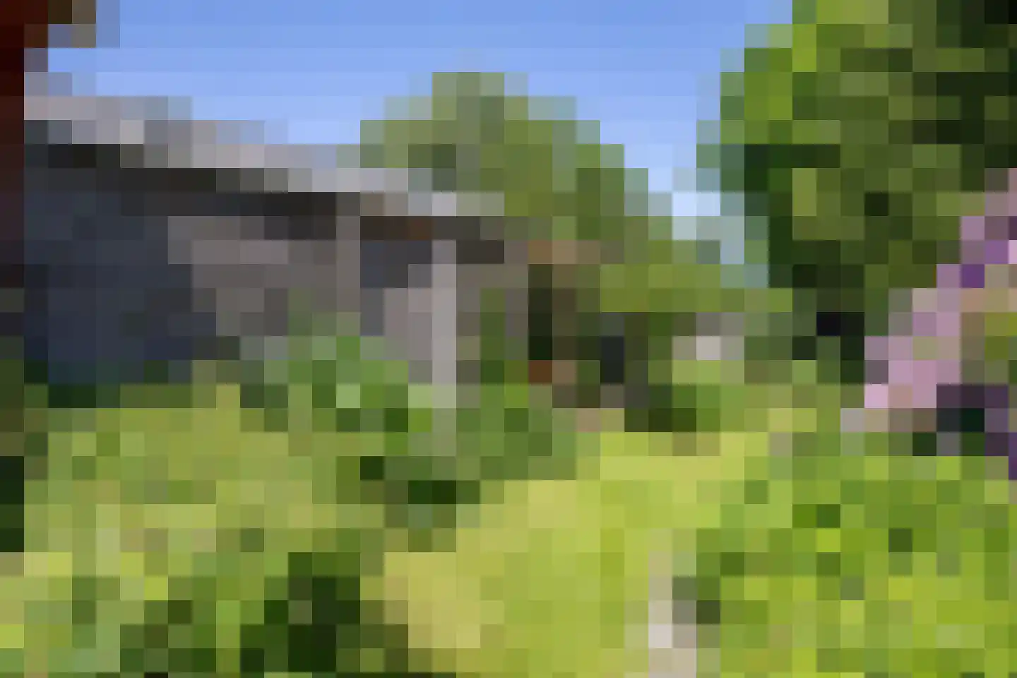 Wierhuisterweg 19 Pieterburen thumbnail 55
