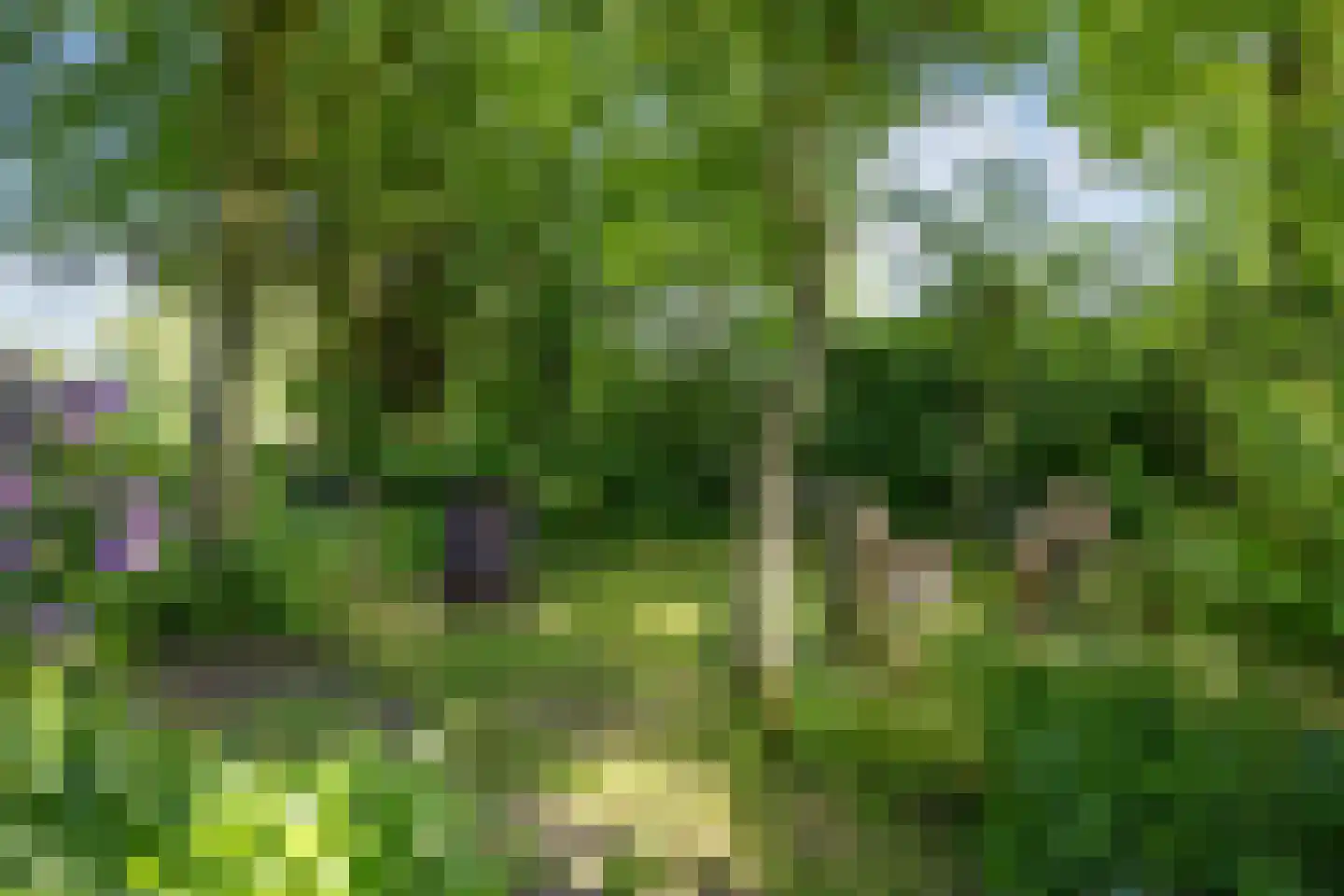 Wierhuisterweg 19 Pieterburen thumbnail 56