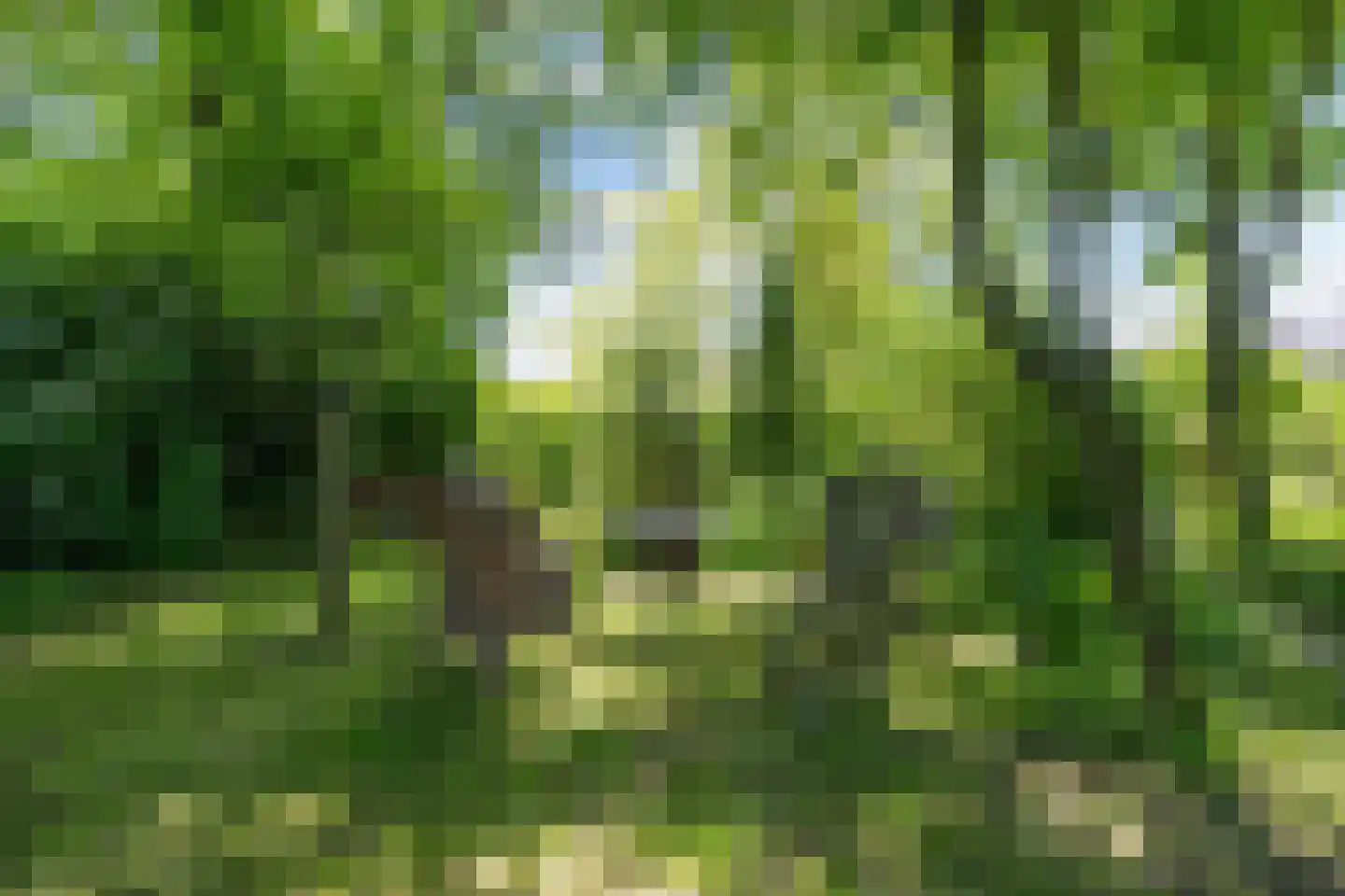 Wierhuisterweg 19 Pieterburen thumbnail 57