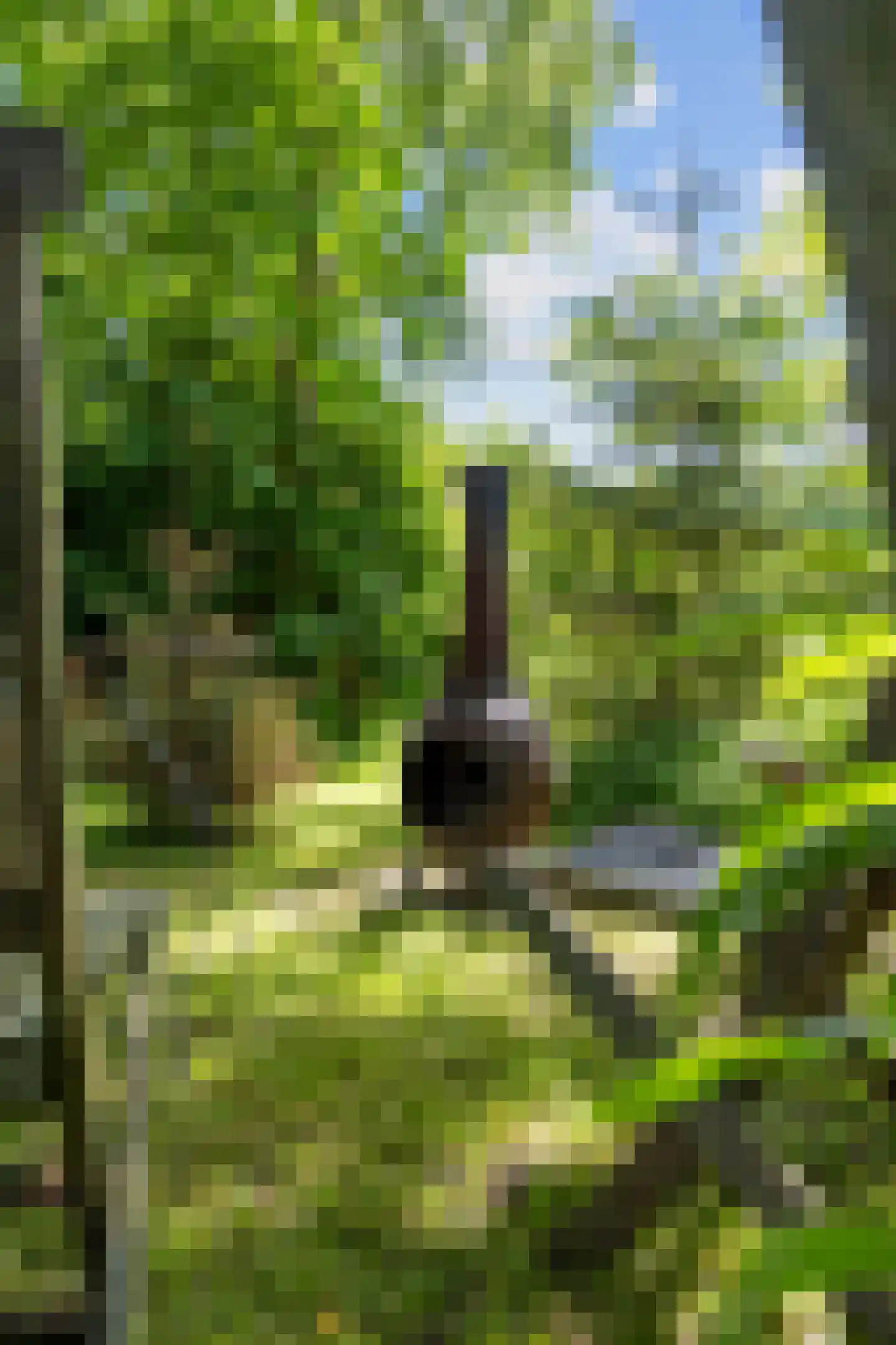 Wierhuisterweg 19 Pieterburen thumbnail 58