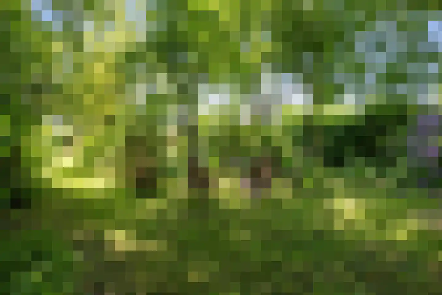Wierhuisterweg 19 Pieterburen thumbnail 59