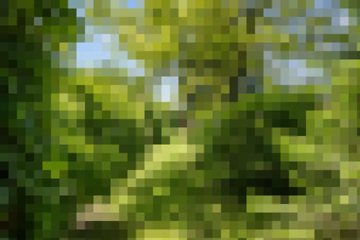 Wierhuisterweg 19 Pieterburen thumbnail 60