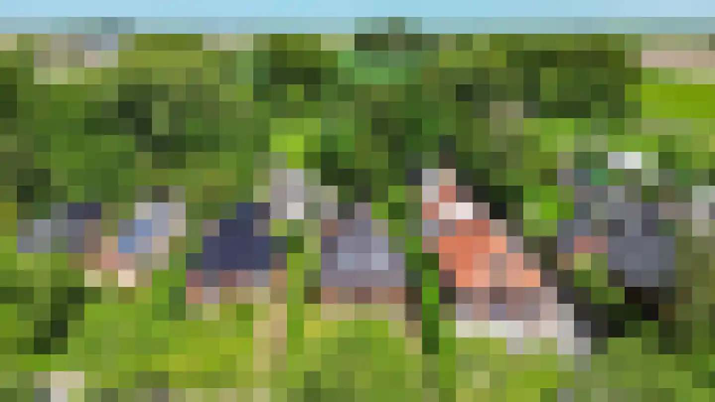 Wierhuisterweg 19 Pieterburen thumbnail 64
