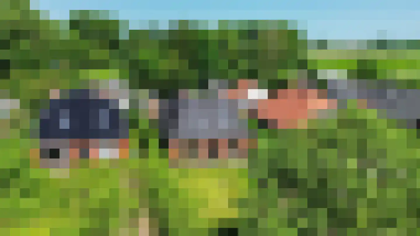 Wierhuisterweg 19 Pieterburen thumbnail 65