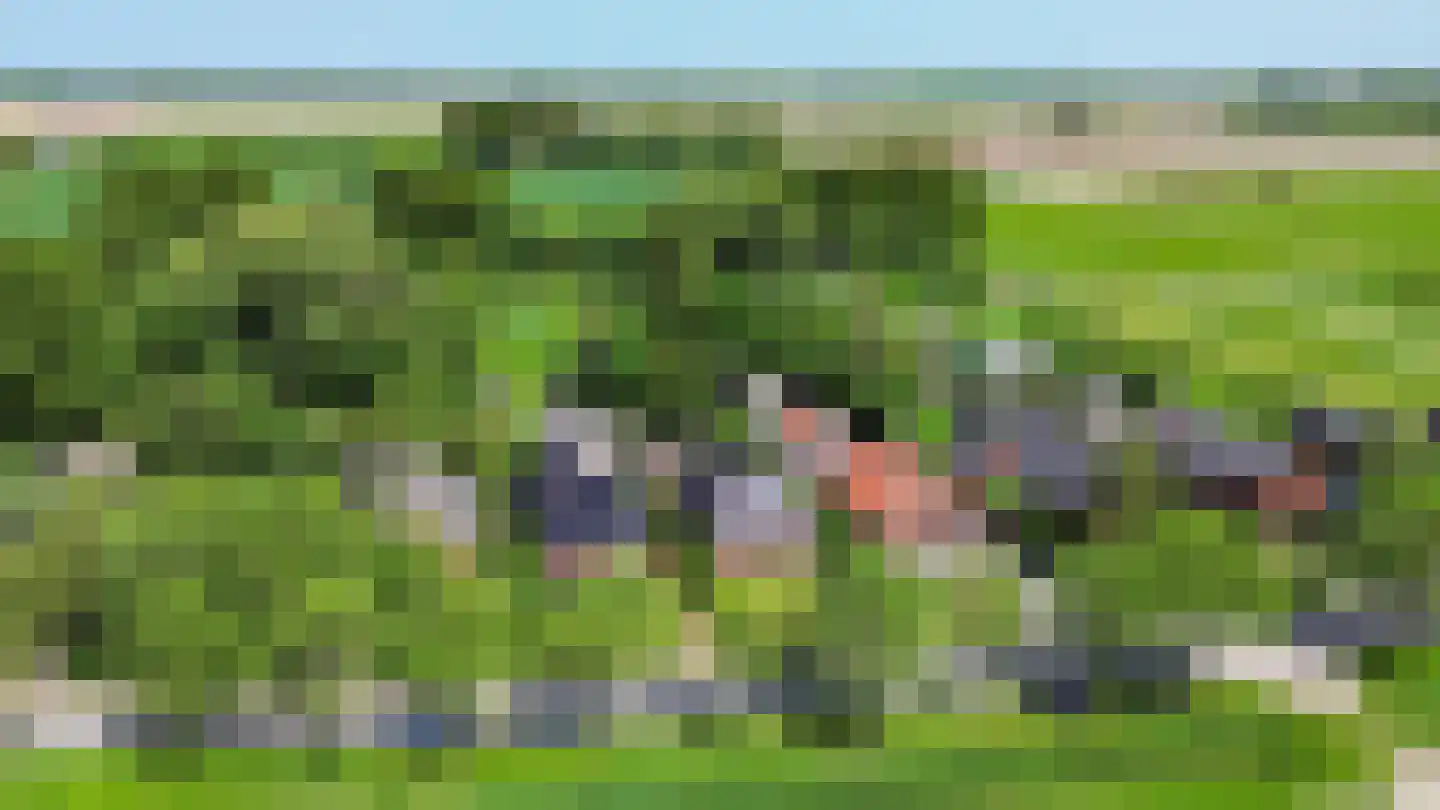 Wierhuisterweg 19 Pieterburen thumbnail 66