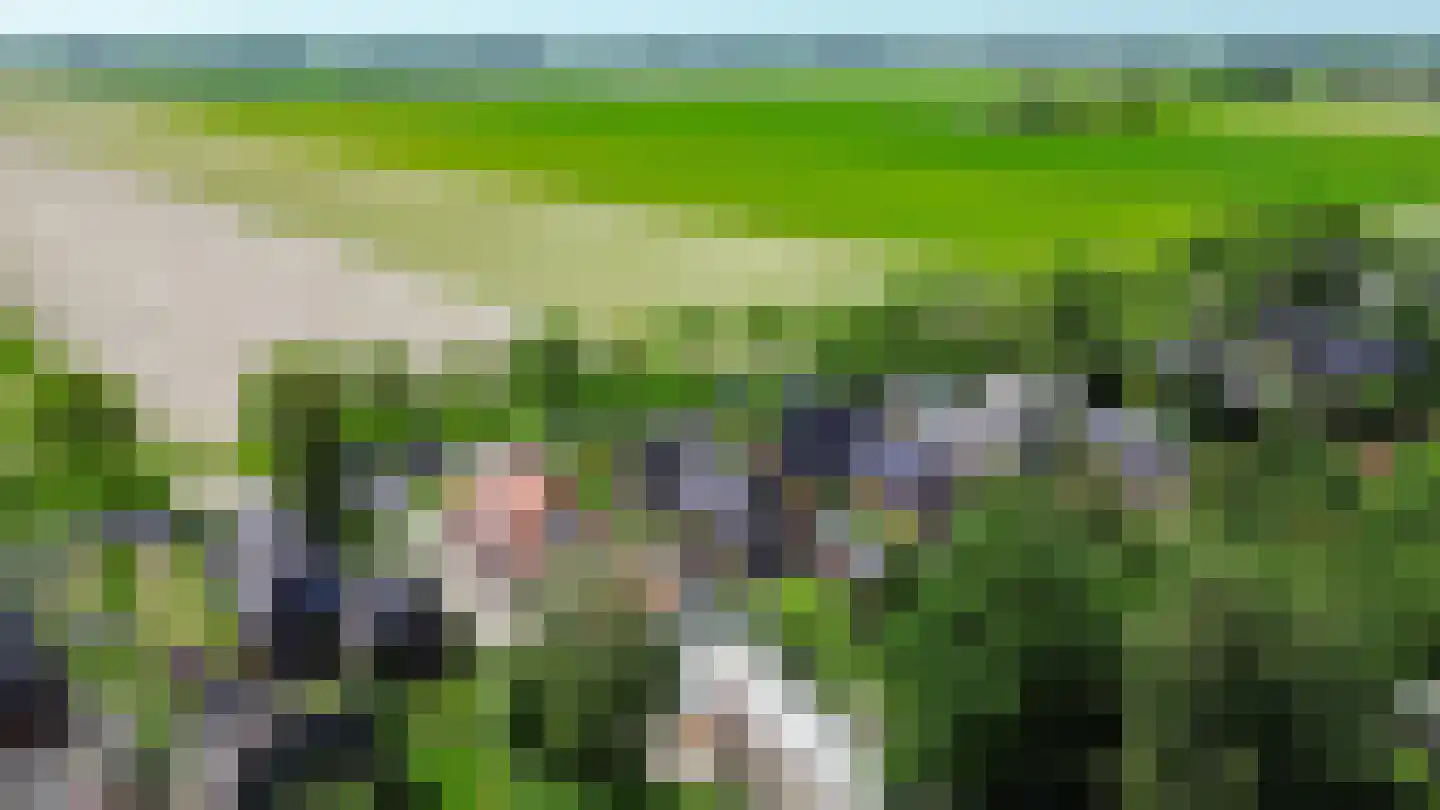 Wierhuisterweg 19 Pieterburen thumbnail 67
