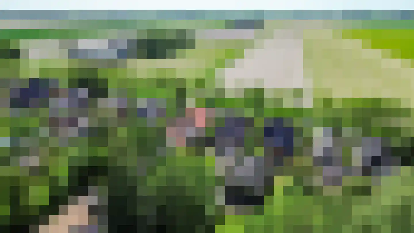 Wierhuisterweg 19 Pieterburen thumbnail 69