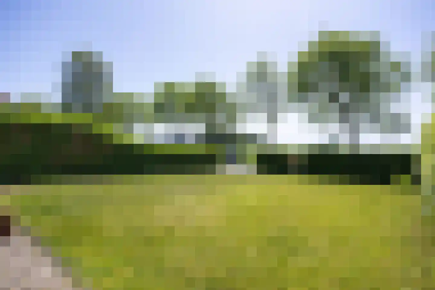 Wierhuisterweg 19 Pieterburen thumbnail 9