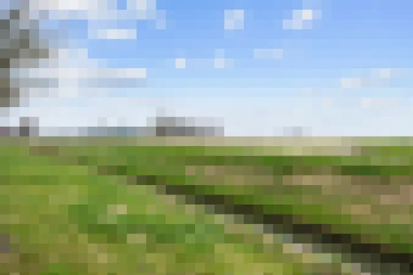Wierhuisterweg 21 Pieterburen thumbnail 10