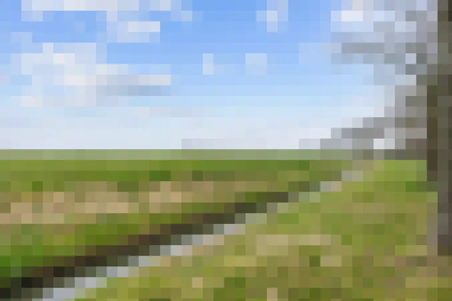 Wierhuisterweg 21 Pieterburen thumbnail 11