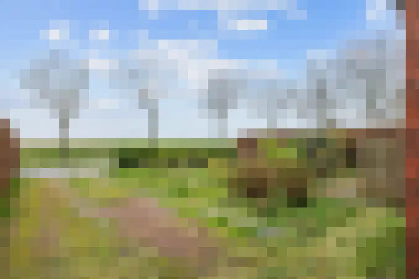 Wierhuisterweg 21 Pieterburen thumbnail 12