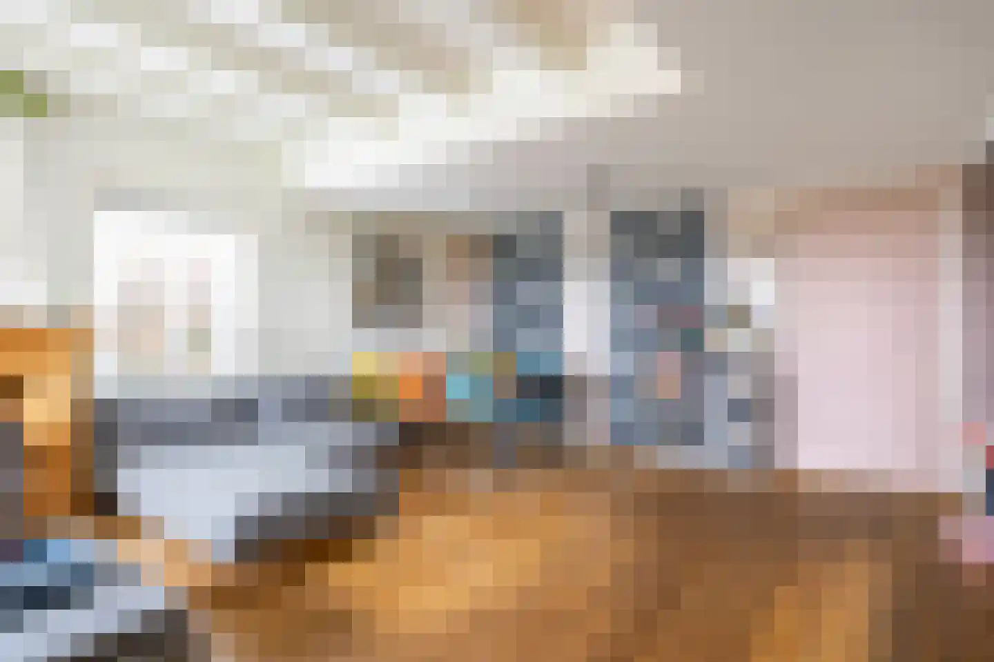 Wierhuisterweg 21 Pieterburen thumbnail 16