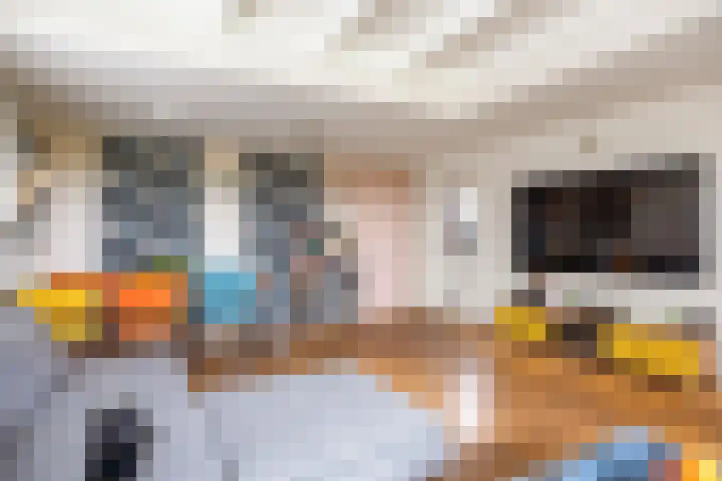 Wierhuisterweg 21 Pieterburen thumbnail 20