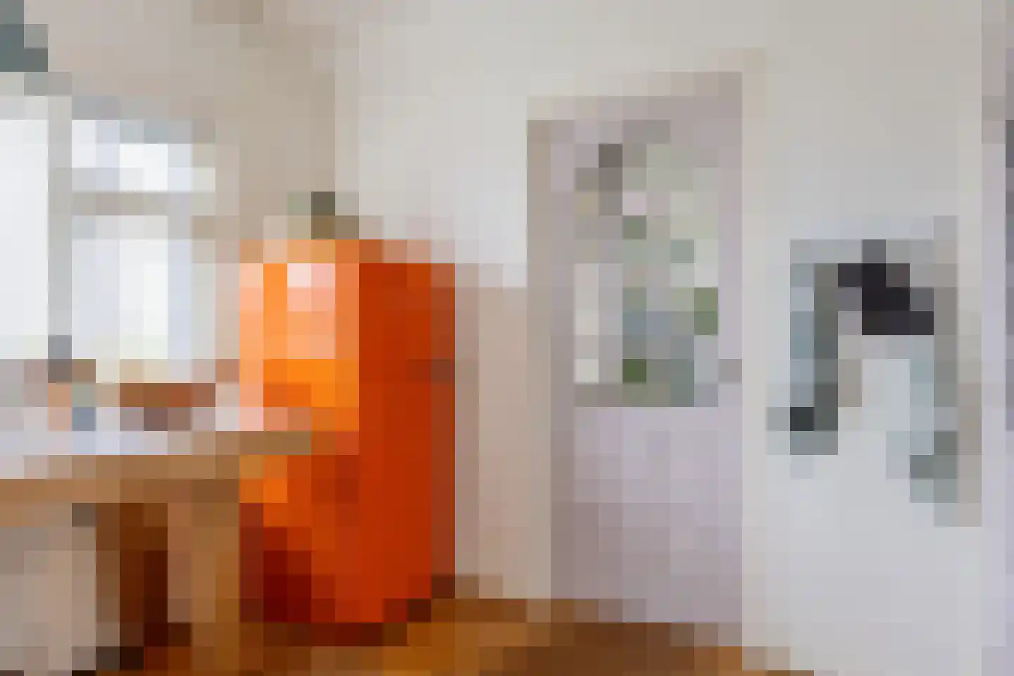 Wierhuisterweg 21 Pieterburen thumbnail 27