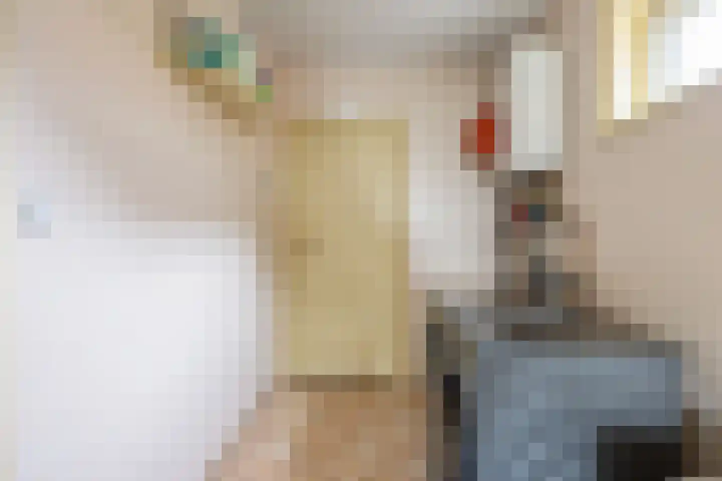 Wierhuisterweg 21 Pieterburen thumbnail 29