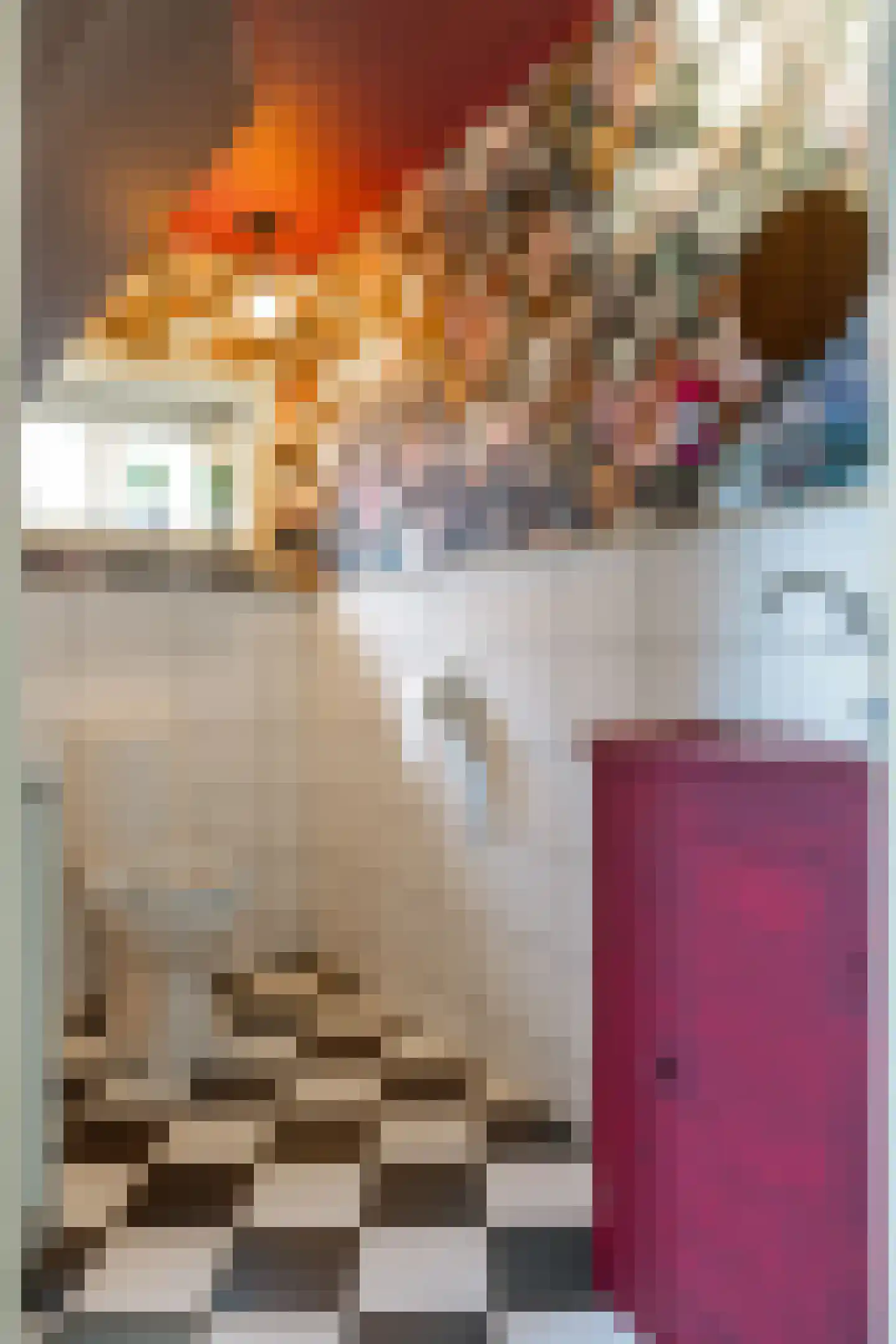Wierhuisterweg 21 Pieterburen thumbnail 42