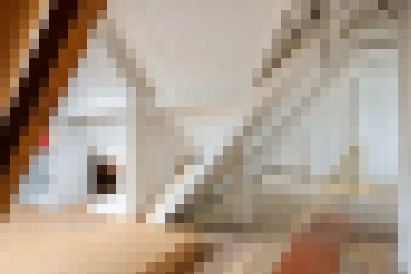 Wierhuisterweg 21 Pieterburen thumbnail 47