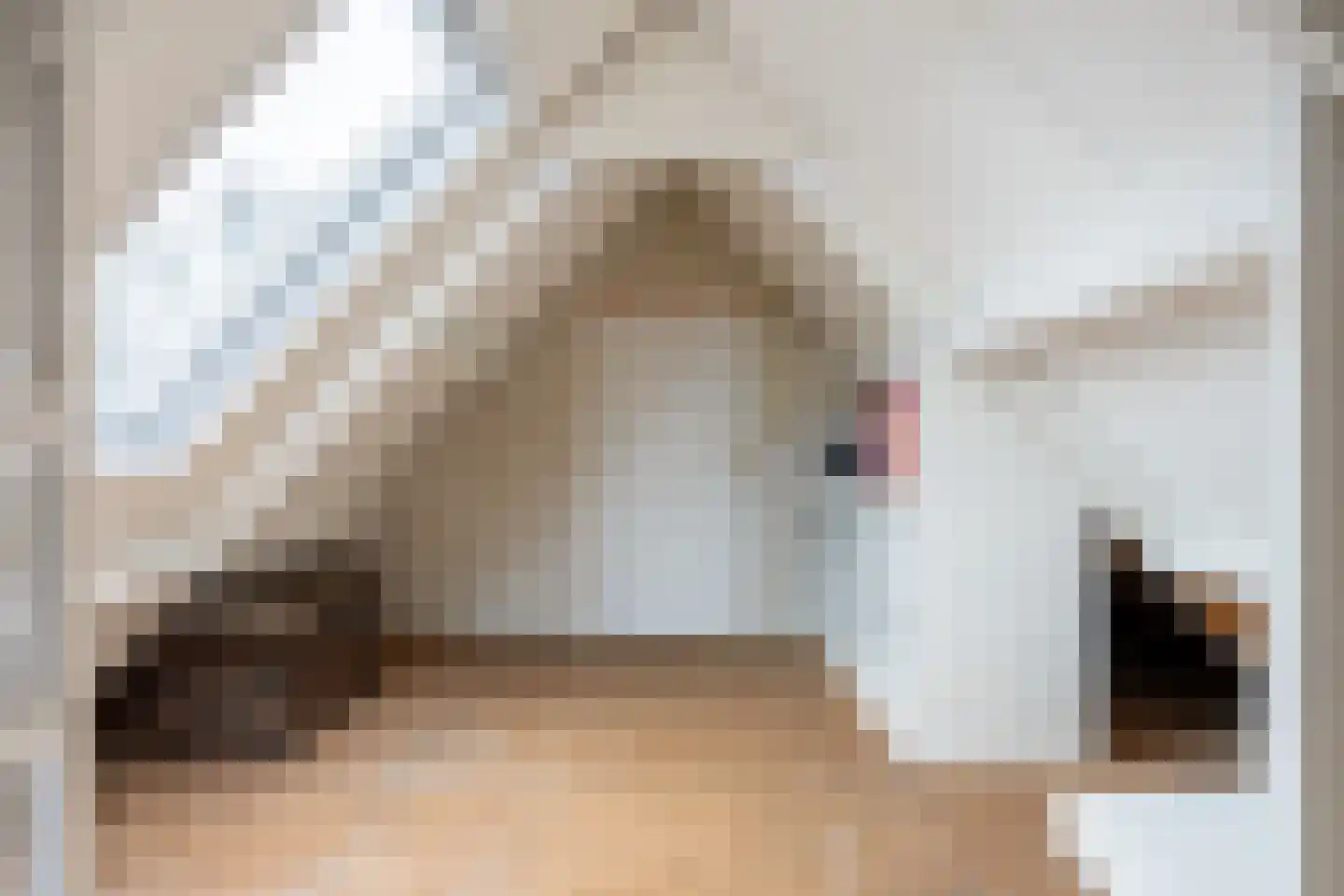 Wierhuisterweg 21 Pieterburen thumbnail 48