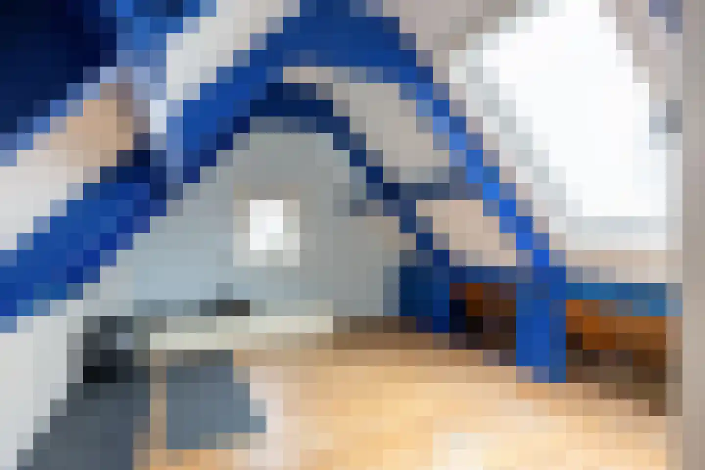 Wierhuisterweg 21 Pieterburen thumbnail 50