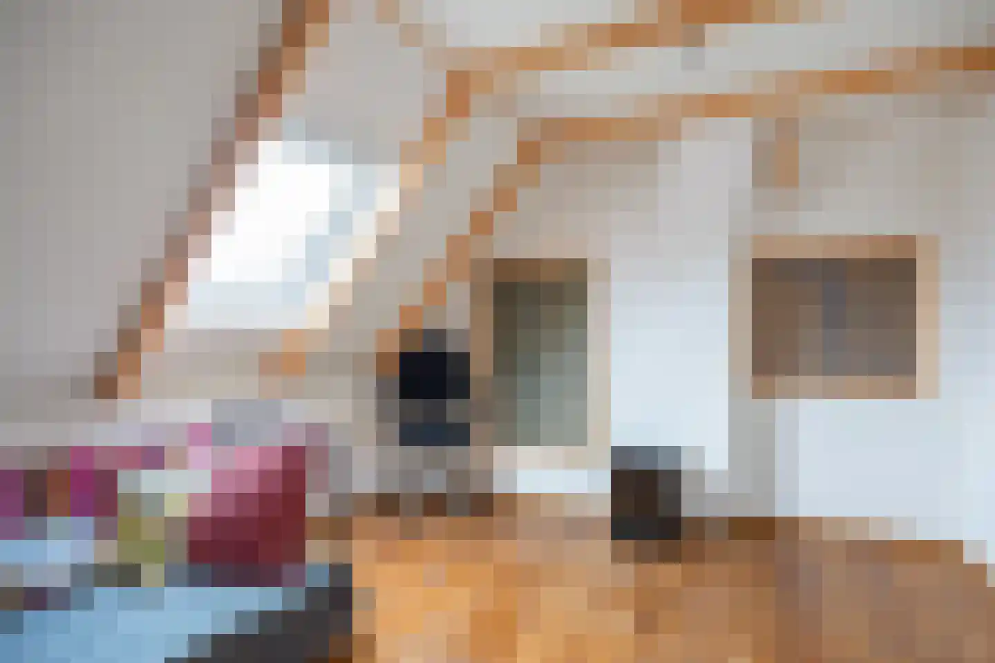 Wierhuisterweg 21 Pieterburen thumbnail 52