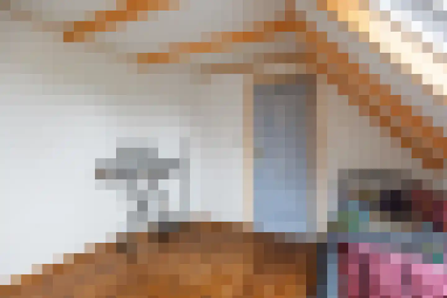 Wierhuisterweg 21 Pieterburen thumbnail 53