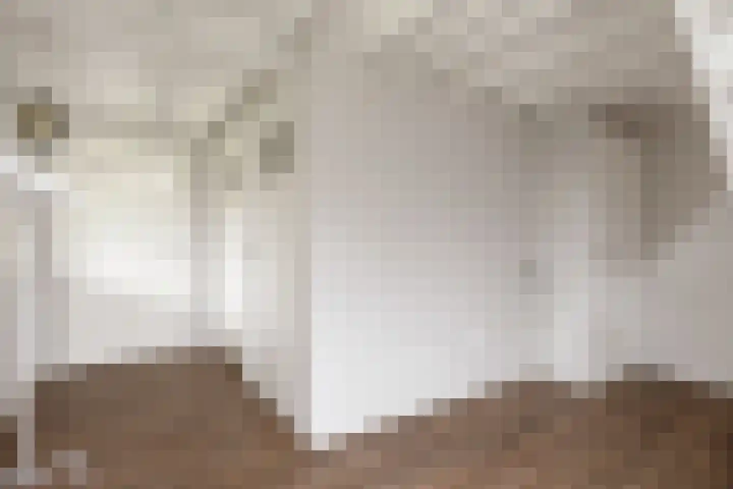 Wierhuisterweg 21 Pieterburen thumbnail 54