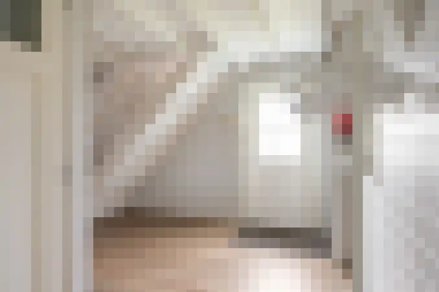 Wierhuisterweg 21 Pieterburen thumbnail 55