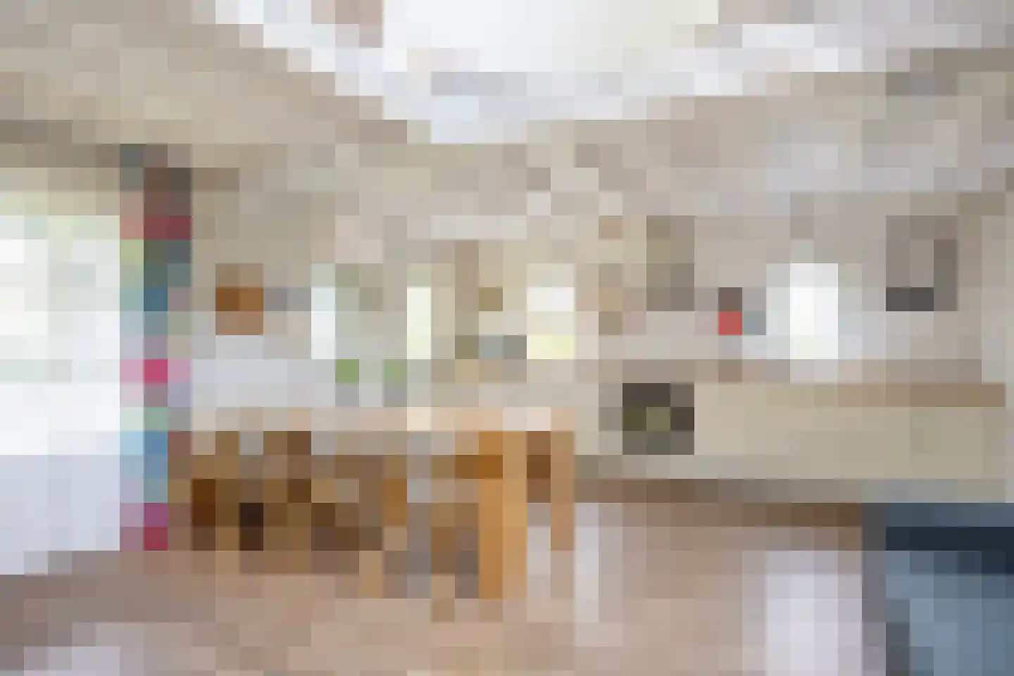 Wierhuisterweg 21 Pieterburen thumbnail 59