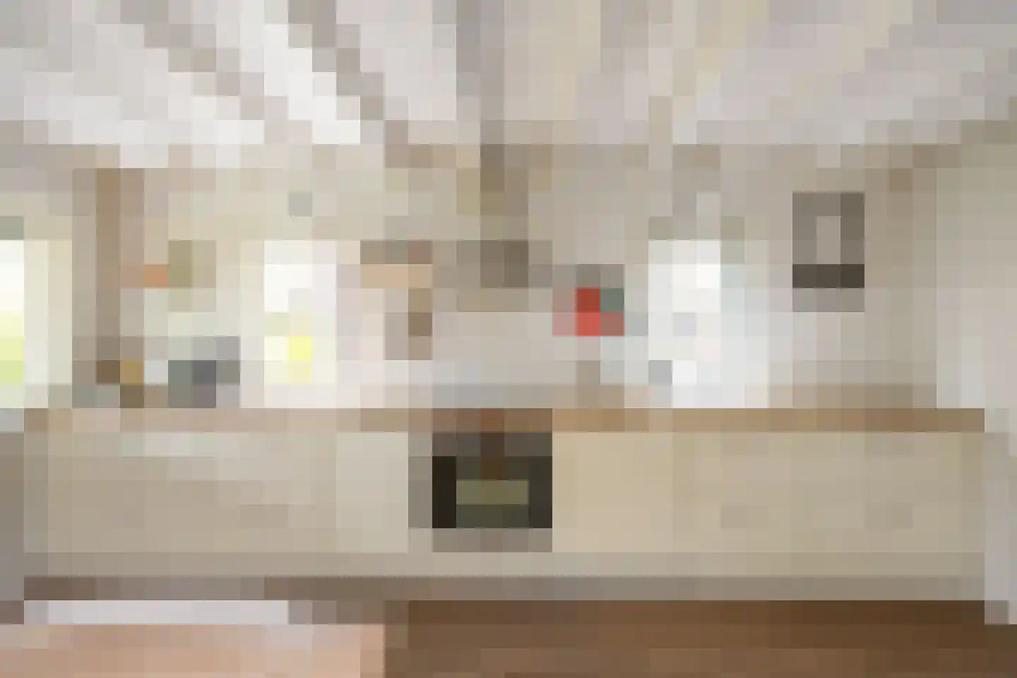 Wierhuisterweg 21 Pieterburen thumbnail 60