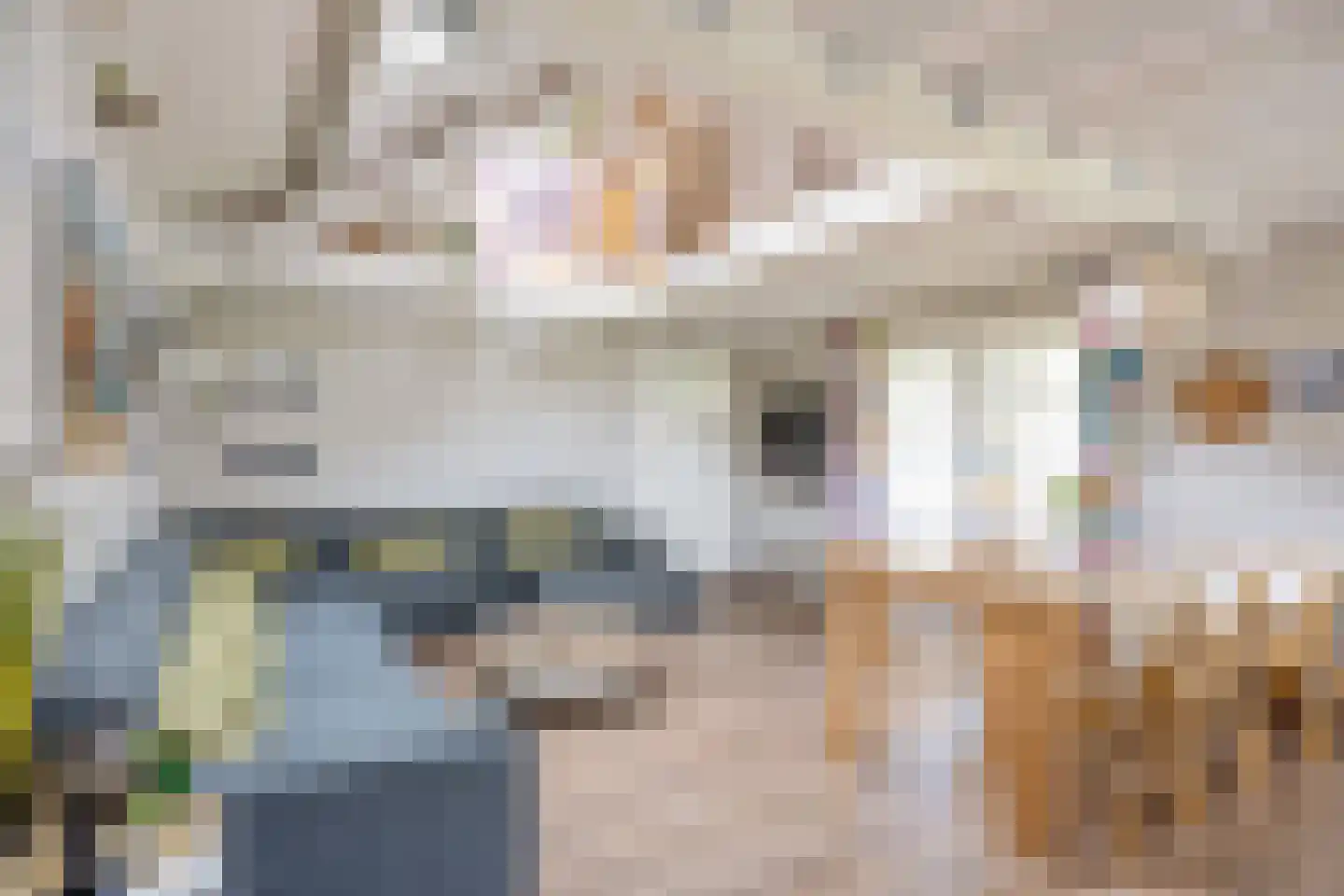 Wierhuisterweg 21 Pieterburen thumbnail 64