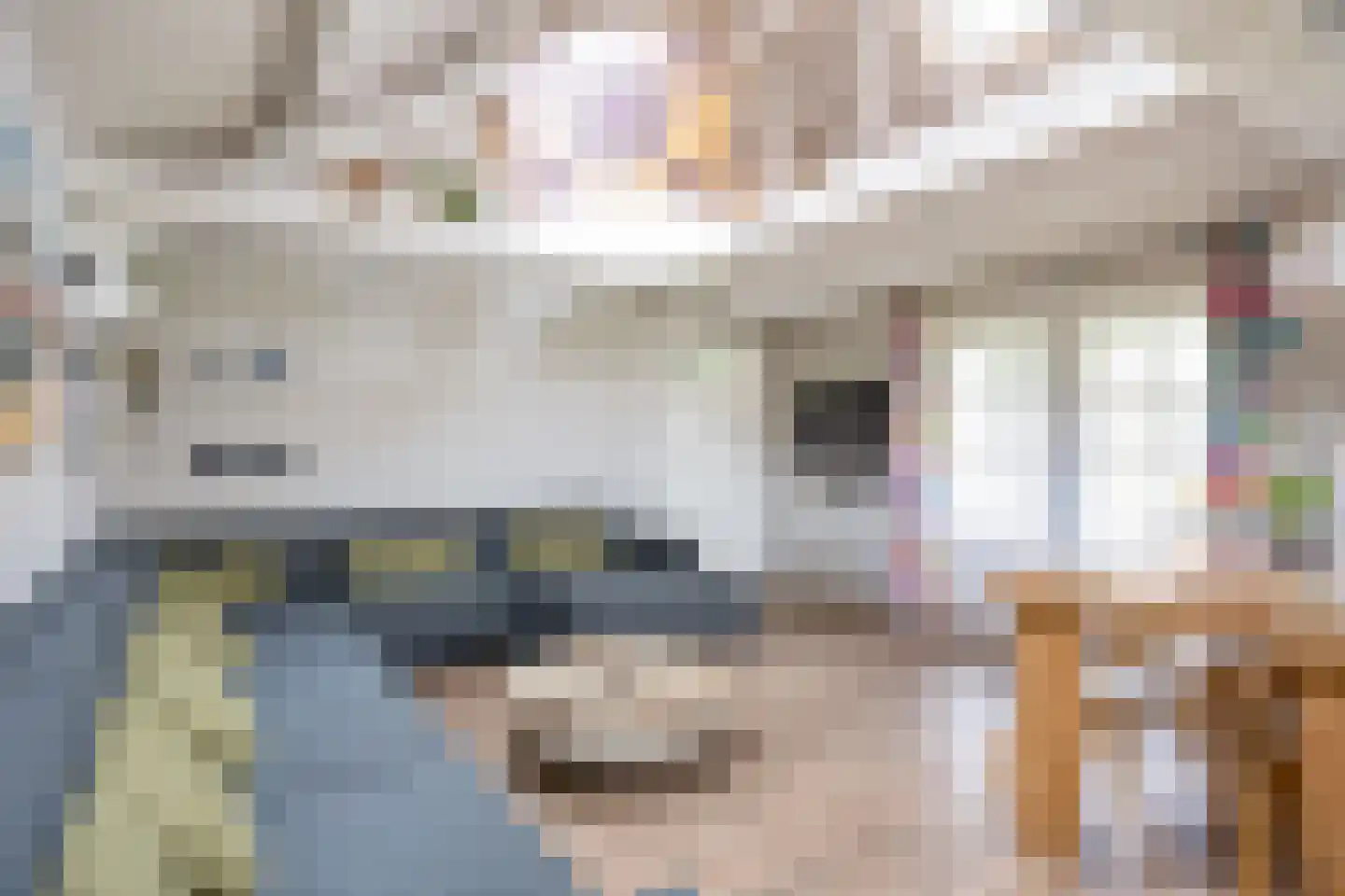 Wierhuisterweg 21 Pieterburen thumbnail 66