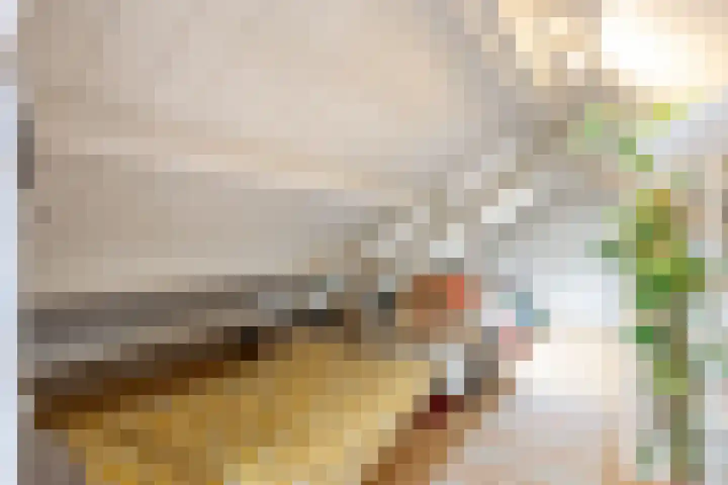 Wierhuisterweg 21 Pieterburen thumbnail 73