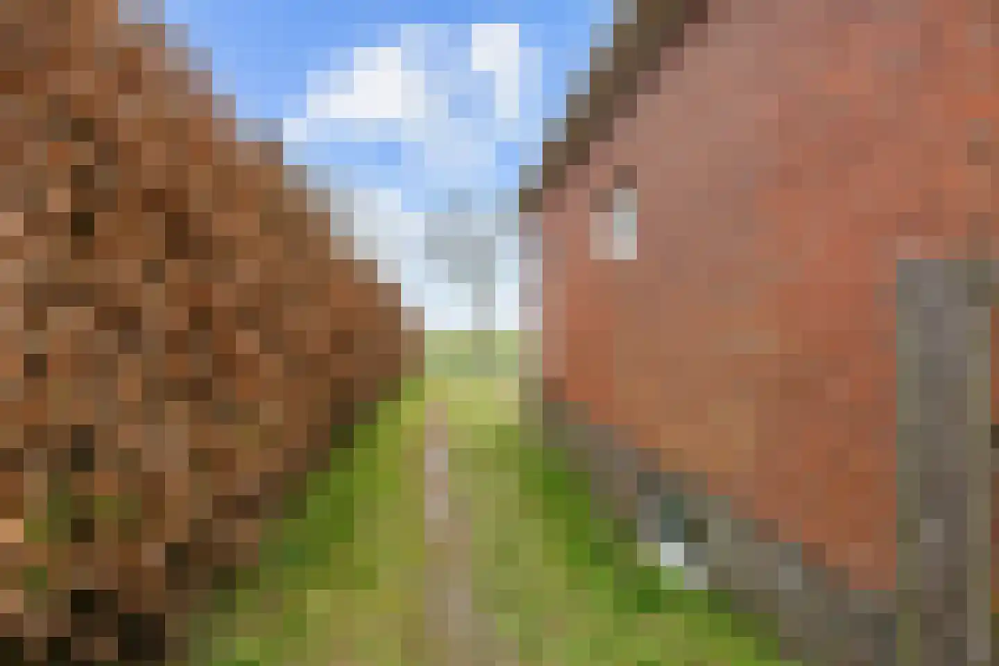 Wierhuisterweg 21 Pieterburen thumbnail 79