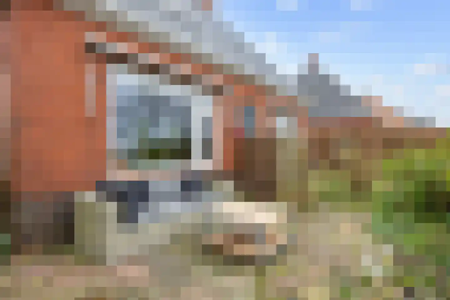 Wierhuisterweg 21 Pieterburen thumbnail 8