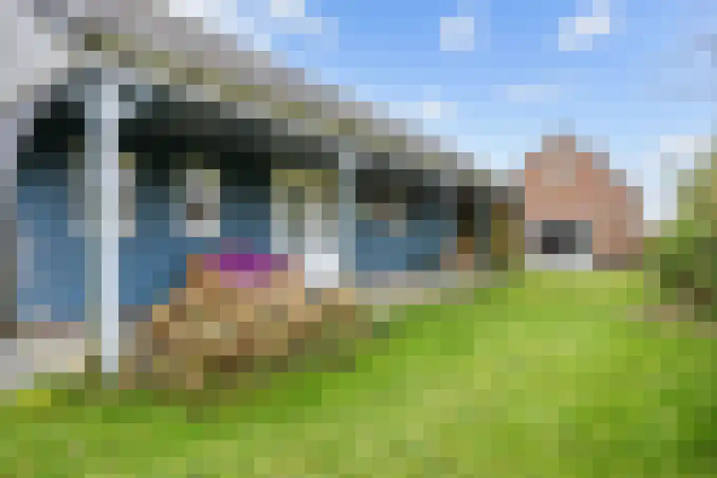 Wierhuisterweg 21 Pieterburen thumbnail 85