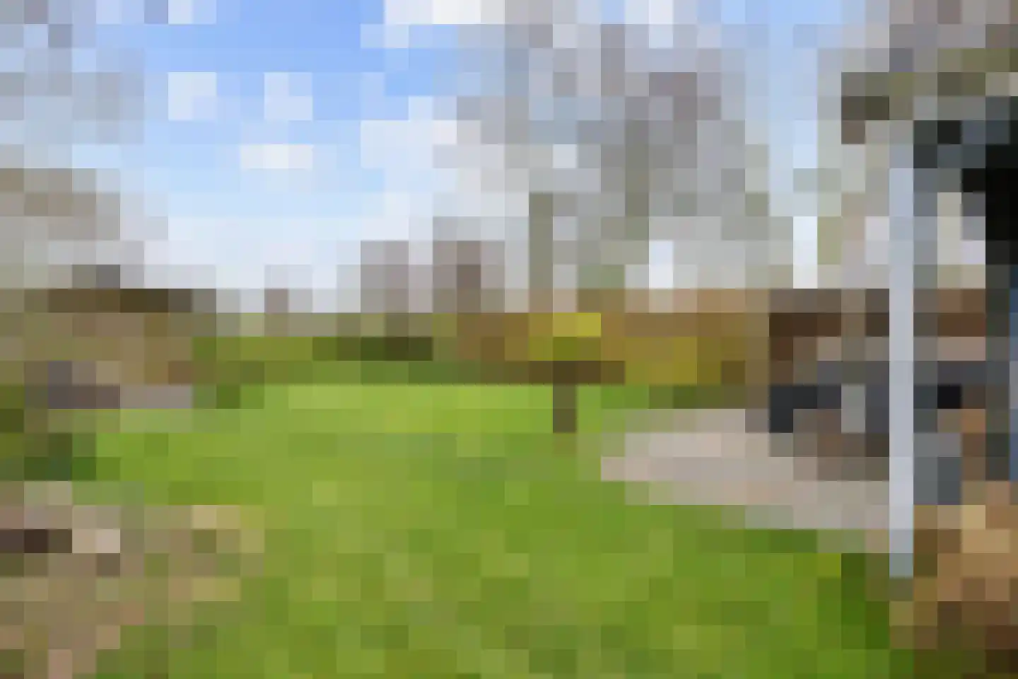 Wierhuisterweg 21 Pieterburen thumbnail 86