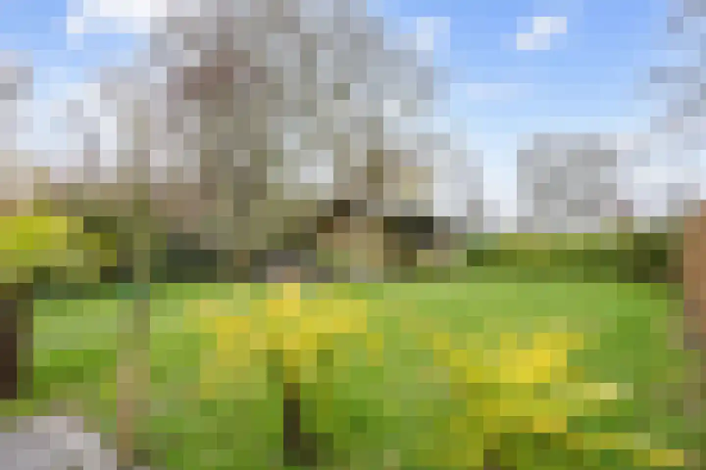 Wierhuisterweg 21 Pieterburen thumbnail 87