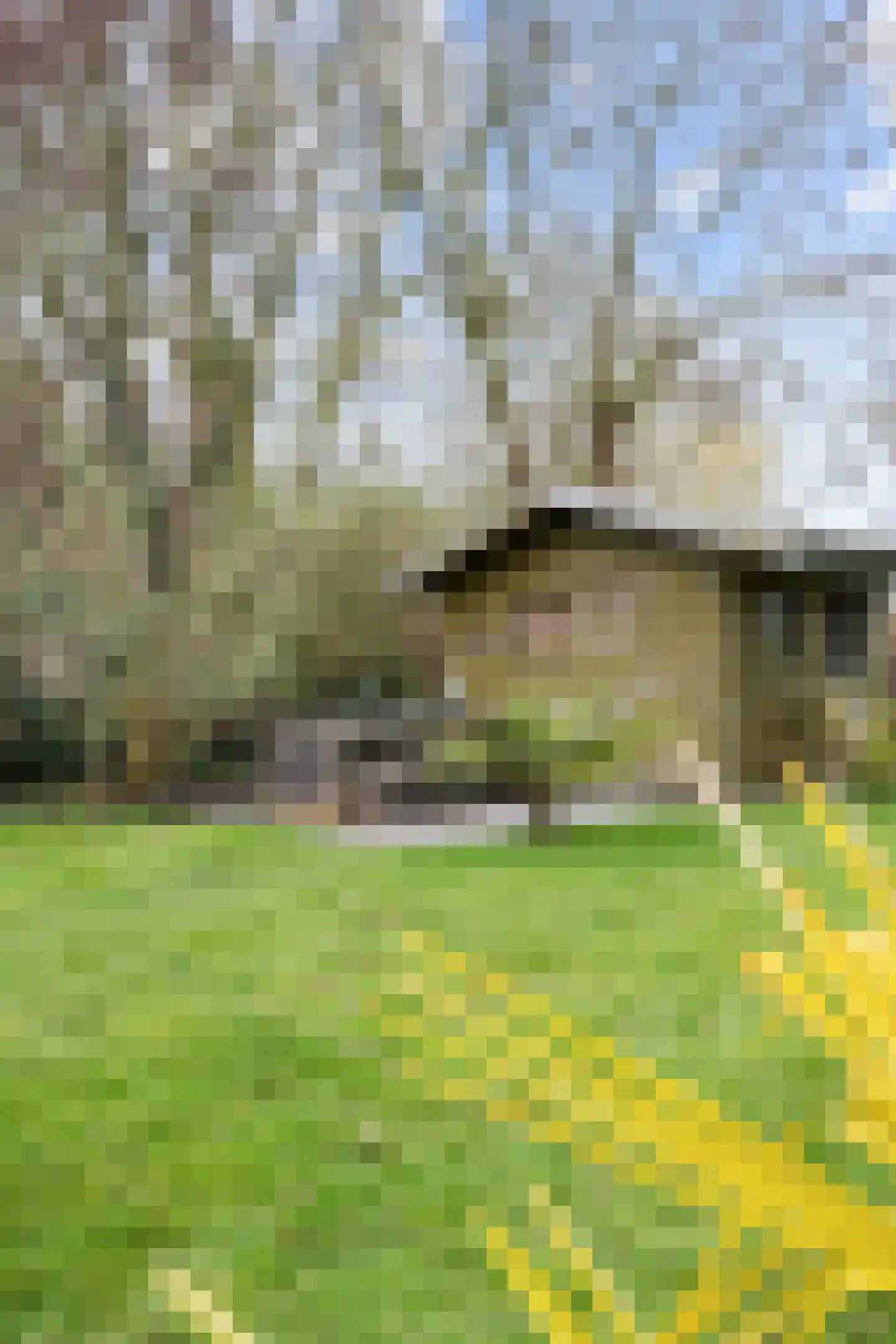 Wierhuisterweg 21 Pieterburen thumbnail 88