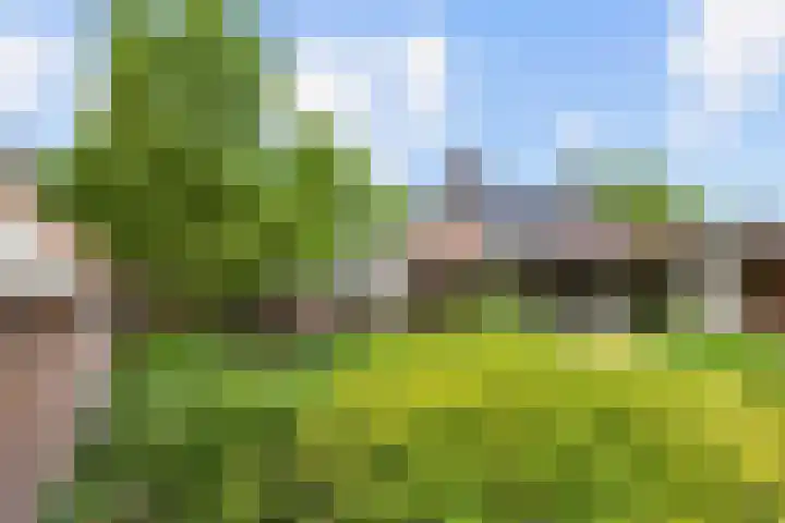 Wierhuisterweg 5 Pieterburen thumbnail 26