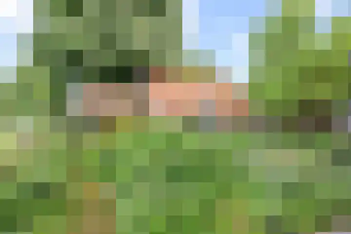 Wierhuisterweg 5 Pieterburen thumbnail 27