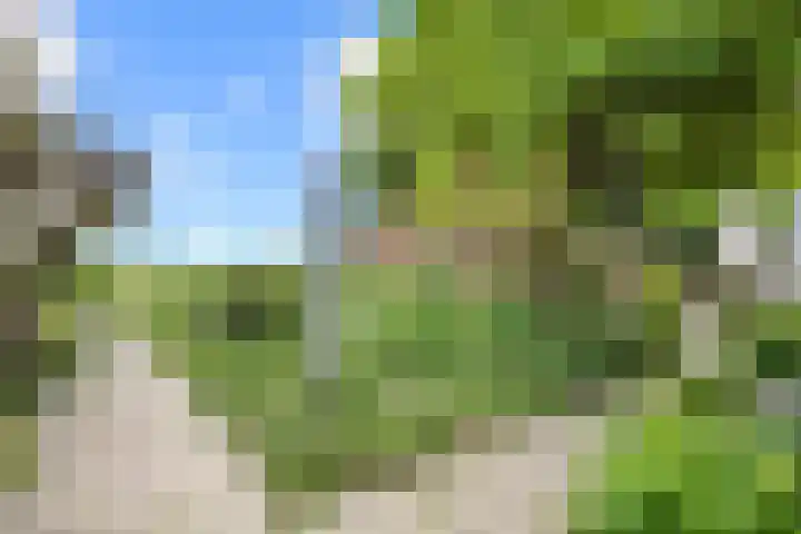 Wierhuisterweg 5 Pieterburen thumbnail 30