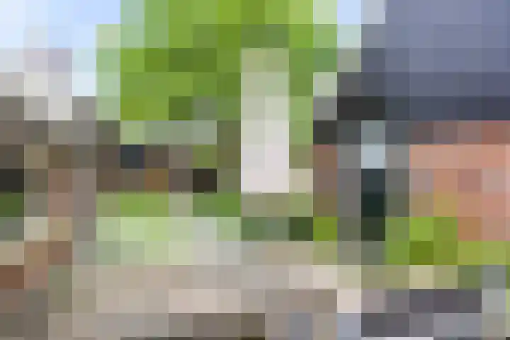 Wierhuisterweg 5 Pieterburen thumbnail 32