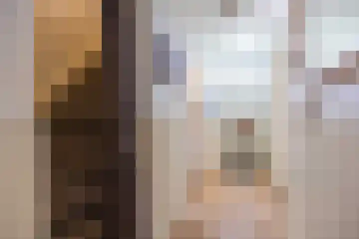 Wierhuisterweg 5 Pieterburen thumbnail 4