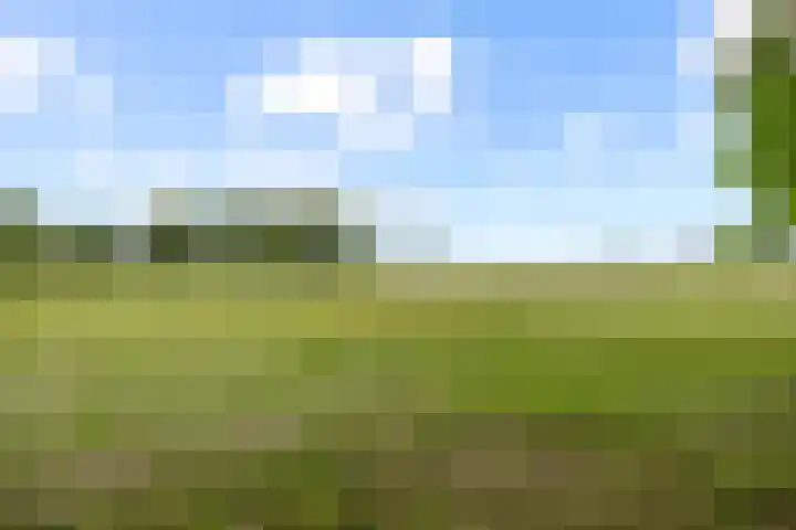Wierhuisterweg 5 Pieterburen thumbnail 41