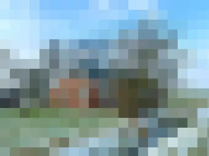 Wierhuizerweg 2 Appingedam thumbnail 34