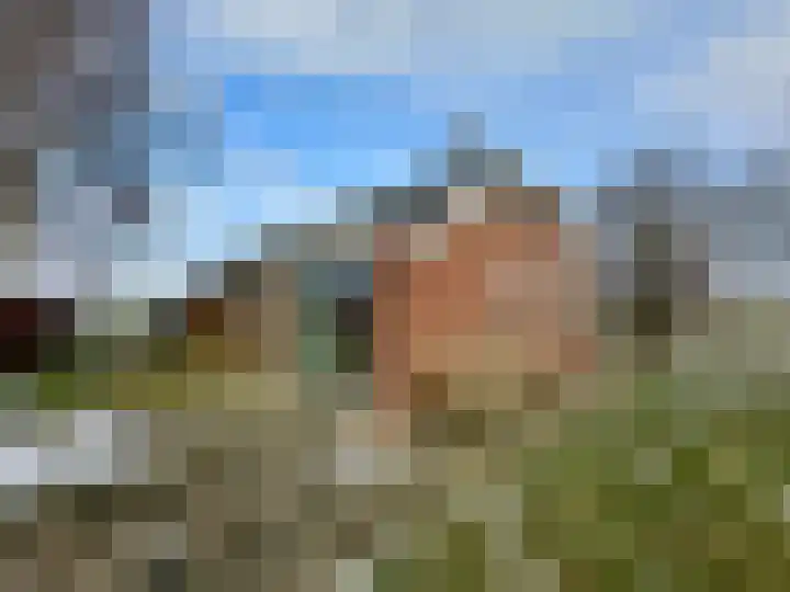 Wierhuizerweg 2 Appingedam thumbnail 38