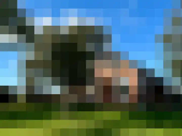 Wierhuizerweg 2 Appingedam thumbnail 4